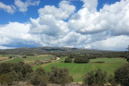 La zona del espacio natural La Tossa de Algerri.