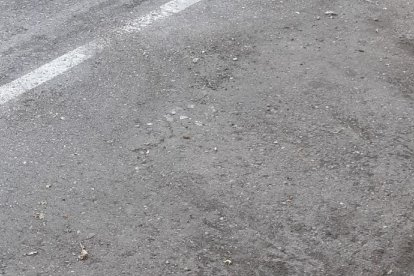 Una rata morta ahir al carrer Camí de Picos de Cappont.