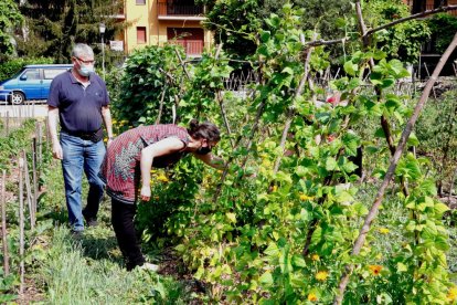 Senterada convierte terrenos en desuso en huertos comunitarios