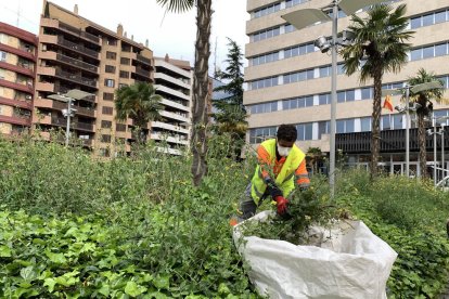 El confinament va provocar que es deixés de mantenir la ciutat i es van disparar les notificacions.