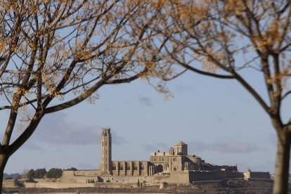 Visita para profundizar en los elementos escultóricos de la Seu Vella