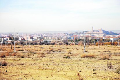 Imatge d’arxiu de part dels terrenys de Torre Salses, situats entre la Bordeta i els Magraners.