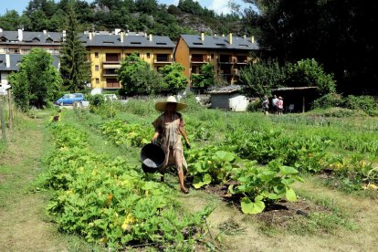 Una voluntaria colabora con las tareas de limpieza del huerto comunitario de Senterada.