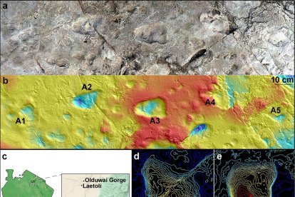 Composición de imágenes con una fotogrametría que muestra cinco huellas de homínidos (a), contorno a partir de un escaneo de superficie en 3D (b), mapa con el yacimiento de Laetoli (c) y mapas topográficos de la huella A2 (d) y la huella A3 (e). EFE/Images (a) and (b) by Austin C. Hill and Catherine Miller. Image (c): Illustration using GoogleMaps by Ellison McNutt. Images (d) and (e) by Stephen Gaughan and James Adams