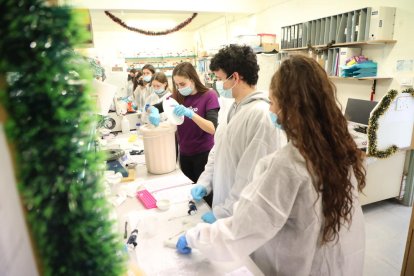 Diversos alumnes al taller que es va fer ahir per crear un prototip de la vacuna contra la Covid.