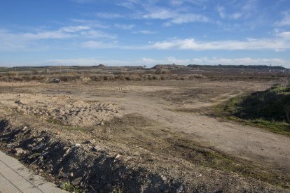 El parque botánico de almendros en Vilagrassa será una realidad este año