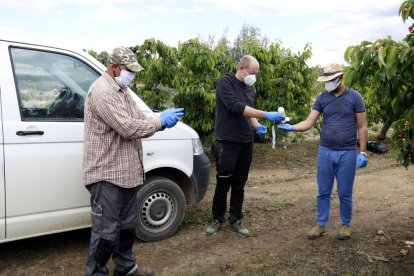 Aprovat el protocol de seguretat per poder desenvolupar la campanya de la fruita amb el coronavirus