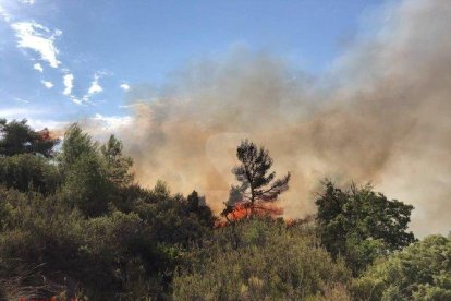 Els bombers treballen en un incendi de vegetació a L'Albagés