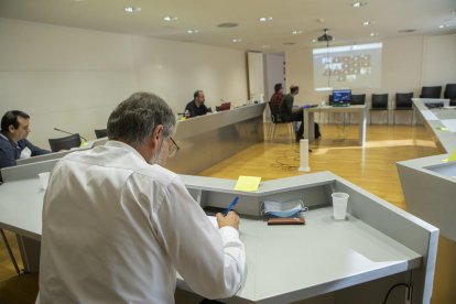 Imatge del consell d’alcaldes telemàtic de la Segarra.