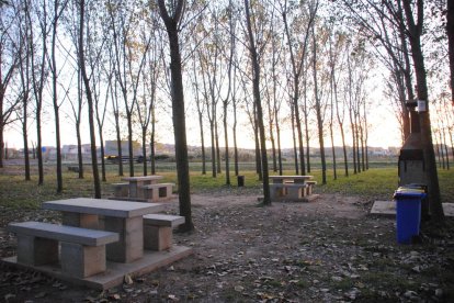 Els Mossos van sorprendre dimecres diverses persones en una barbacoa en aquesta zona de Linyola.