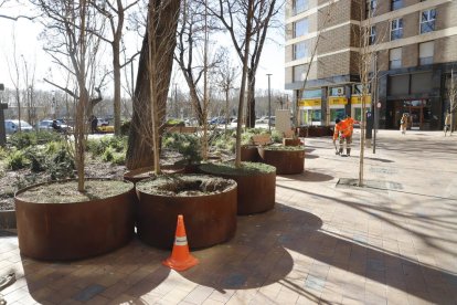 Diverses jardineres amuntegades a la plaça Pare Sanahüja, ahir.