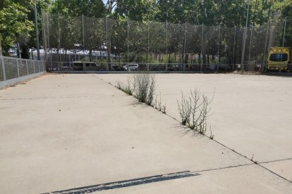 La pista annexa, abandonada - La pista exterior annexa al pavelló Onze de Setembre, inaugurada a finals del 2016 i en desús des de fa un any i mig per culpa de la pandèmia, es troba en estat d’abandó, amb abundants esquerdes a través de les  ...