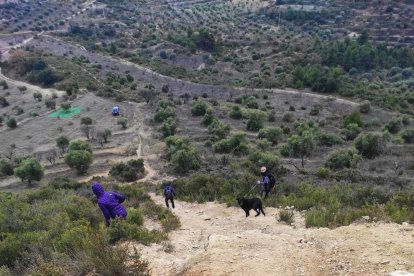 Surcos provocados por las motos en la montaña de Els Bessons. 