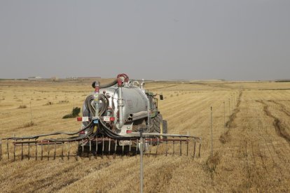 Una cisterna aplicant purins al nivell del terra, tal com exigeix la normativa actual.