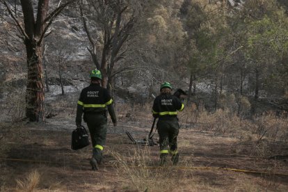 Imatge de dos agents rurals en una zona cremada.