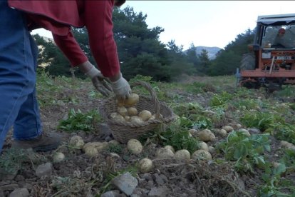 Una de les imatges que es podran veure al documental.