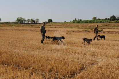 Caçadors en una imatge d'arxiu