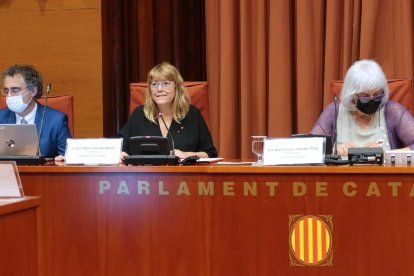 La consellera, Natàlia Garriga, en su comparecencia en el Parlament.