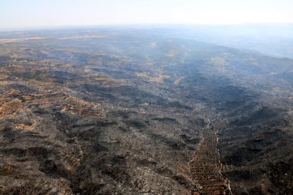 Vista aèria de zona cremada per l'incendi.