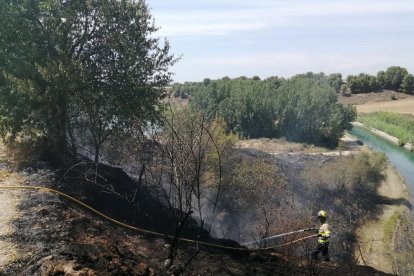 Calcinats 5.100 metres quadrats de vegetació a Almenar