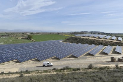 Paneles solares instalados recientemente en el término municipal de Almacelles.