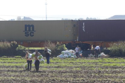 Camps a través la gent carregava amb el material dels contenidors del tren descarrilat entre Puigverd de Lleida i Juneda.