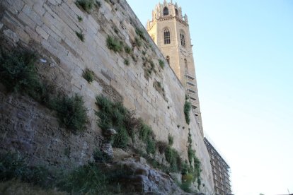 Representants d’entitats de Lleida, ahir davant del tossal de Moradilla, que reclamen conservar.