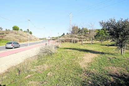 Lloc en el qual la Paeria preveu construir la zona de pícnic.