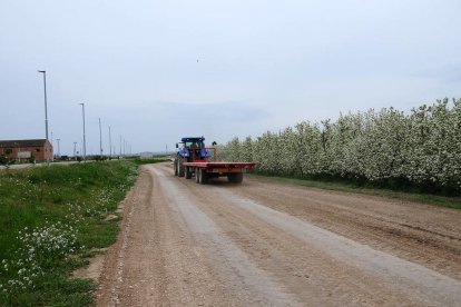 El Palau millora els camins municipals