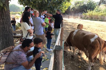 Els més petits van gaudir de prop de la naturalesa i els animals ahir a la Granja Pifarré de Lleida.