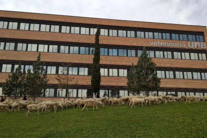 El exterior de la Facultad de Veterinaria.