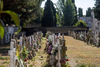 Les assegurances de defunció cobreixen gestions relacionades amb el funeral i l’enterrament.