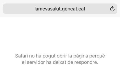 L'atac va provocar problemes per accedir a la web 'La meva salut'