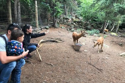 Los visitantes podrán conocer de cerca la fauna autóctona.