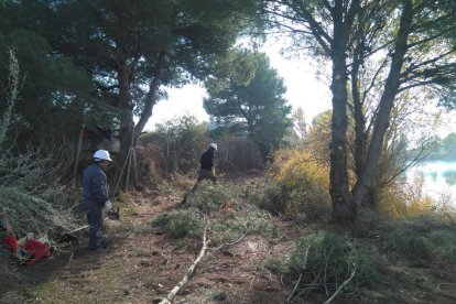 Imagen de la brigada de limpieza forestal de Almacelles.