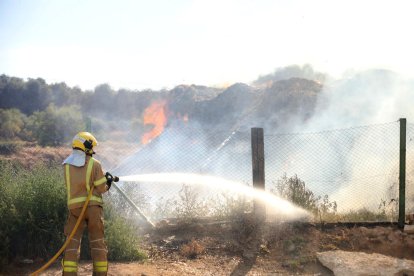 El fuego se originó en una columna de pelet. 