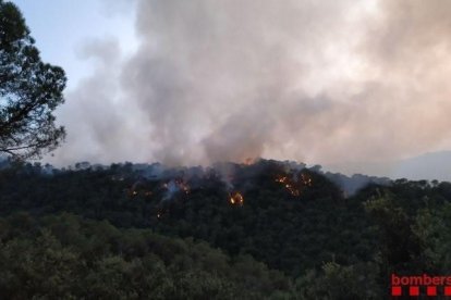 Imatges de l’incendi declarat a Capellades.