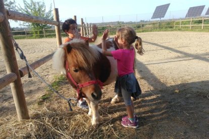 Niños en las instalaciones de la futura escuela bosque de Juneda.