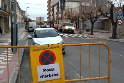 Cervera prolonga la poda de árboles hasta el mes próximo