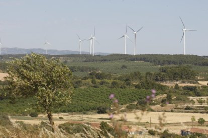 La zona on es preveu que aniran els molins alineats amb els del parc de Sant Antoni a la foto.