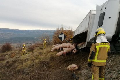 El accidente se produjo ayer a las 9.35 horas. 