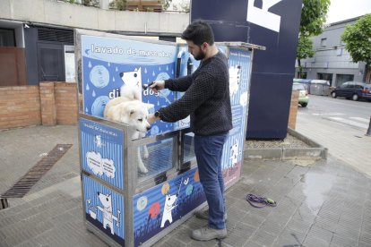 Un veí renta el seu gos al nou rentador de mascotes de Balàfia.