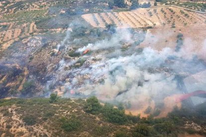 Imatge aèria del terreny arrasat per les flames al terme municipal del Soleràs.