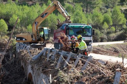 Bomberos y forestales realizando tareas de búsqueda en Tarragona.