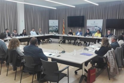 La sesión celebrada ayer en la Diputación de Lleida.