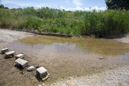 Tras tanto tiempo inactivo, el  río pasa por encima de un camino.