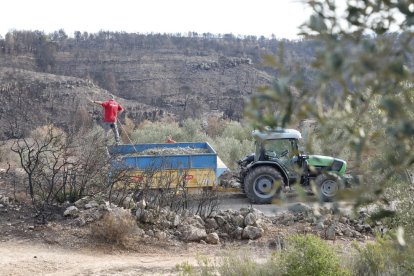 Maials va ser un dels quatre municipis afectats pels incendis de l’estiu passat.