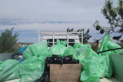 La brigada municipal es va emportar els residus.