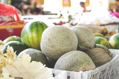 El meló és una de les fruites protagonistes dels plats d'aquest capítol.