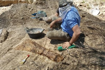 Hueso de titanosaurio encontrado durante la excavación del yacimiento de Les Gavarres.